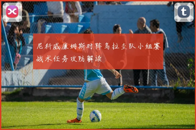 尼科威廉姆斯对阵乌拉圭队小组赛战术任务攻防解读