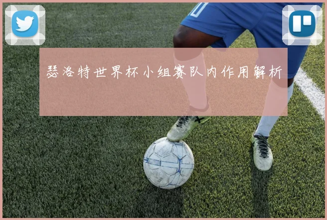 瑟洛特世界杯小组赛队内作用解析