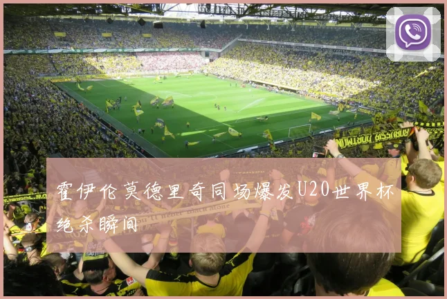 霍伊伦莫德里奇同场爆发U20世界杯绝杀瞬间
